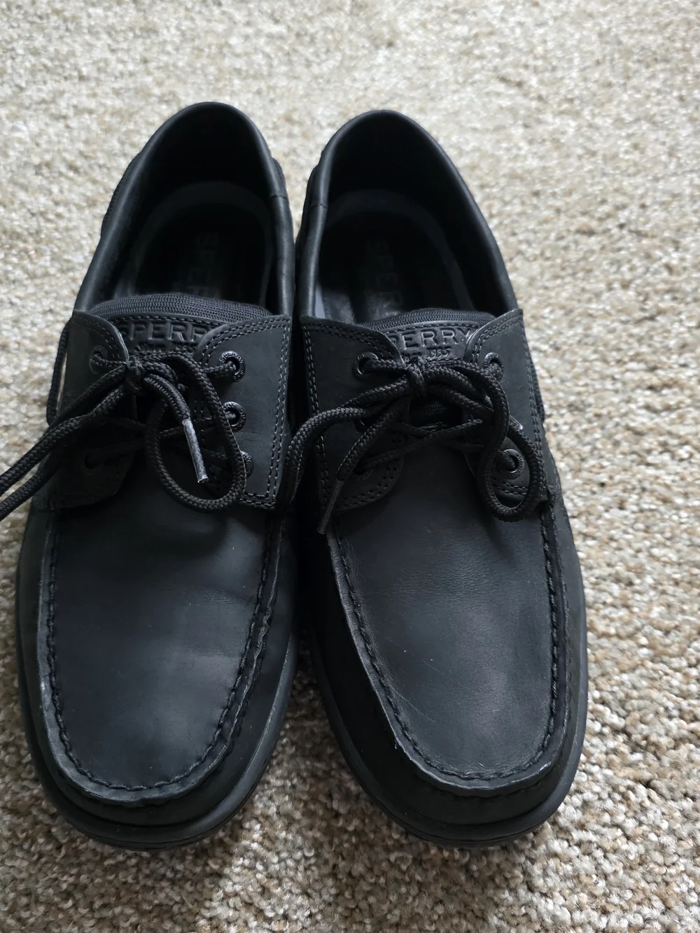 Sperry mens size
